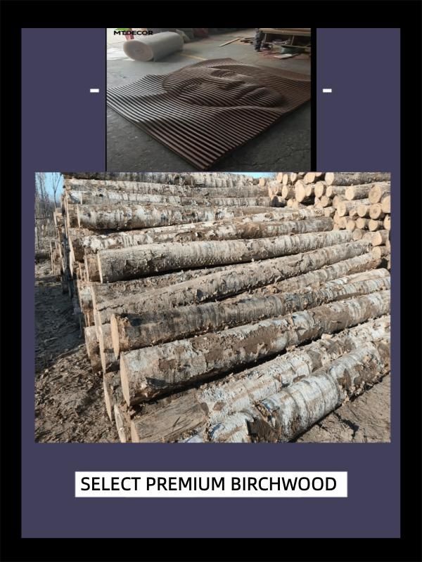product-600-800